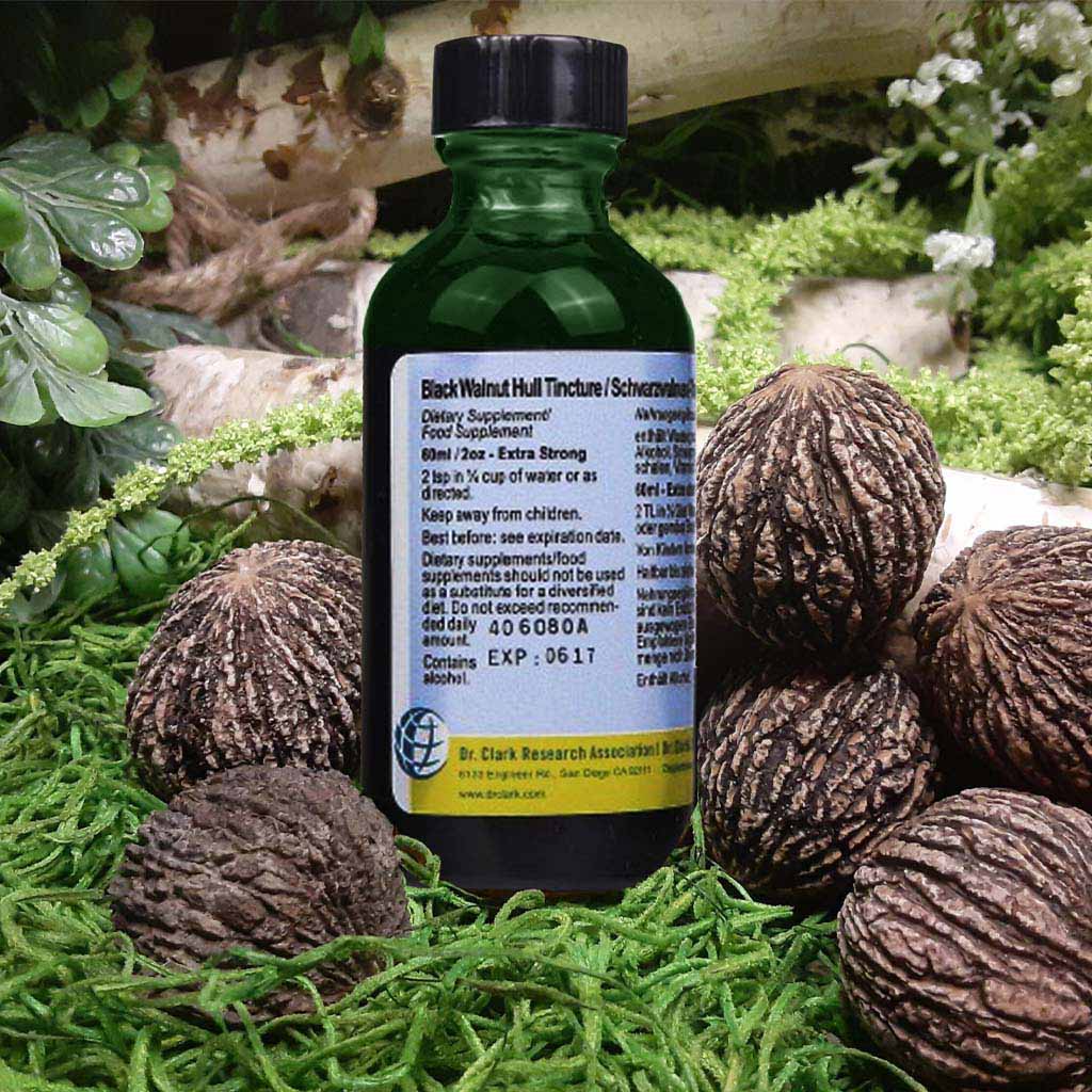 Black Walnut Hull Tincture, extra strong, 2 oz (60 ml)