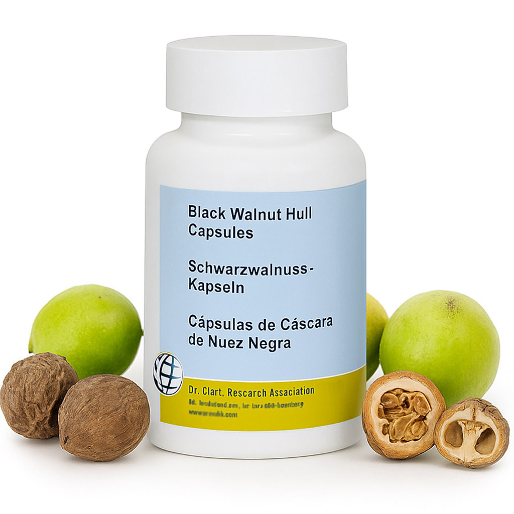 Schwarzwalnuss KAPSELN (gefriergetrocknet), 300 mg 50 Kapseln